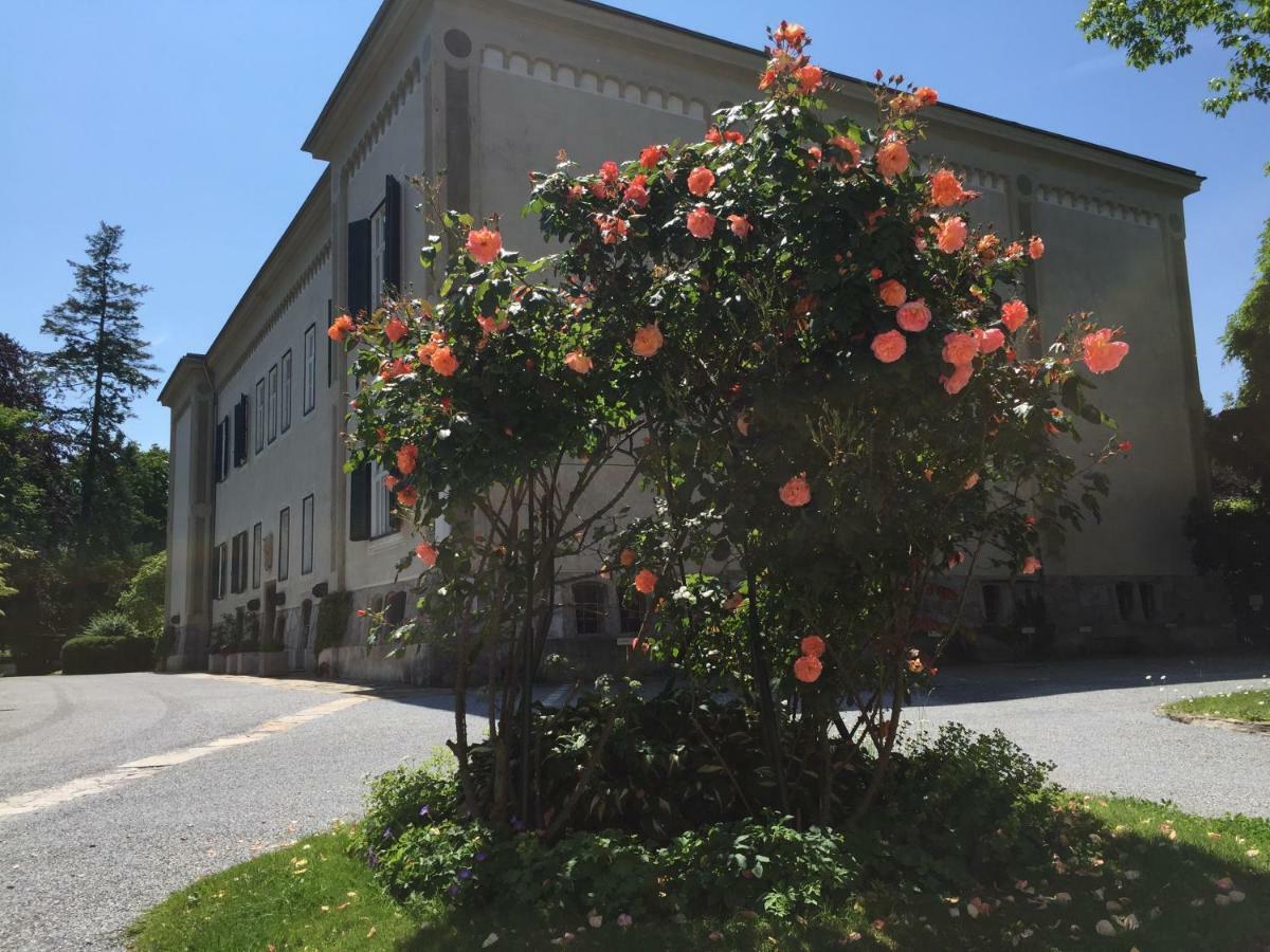 Blue Flat By Grazrentals Best Location & Free Parking Eksteriør bilde